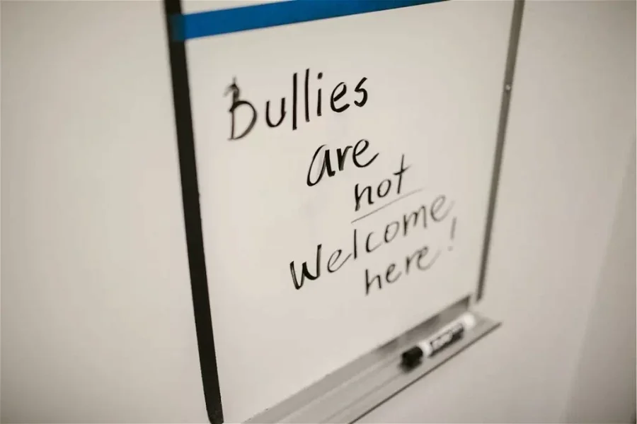 bentuk-bentuk bullying kata-kata