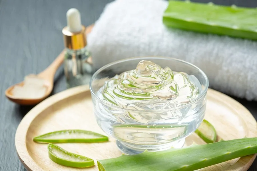 Read more about the article 6 Manfaat Aloe Vera untuk Kesehatan Kulit Wajah, Makin Segar Bercahaya